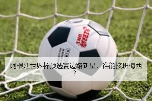 阿根廷世界杯预选赛边路新星，谁能接班梅西？